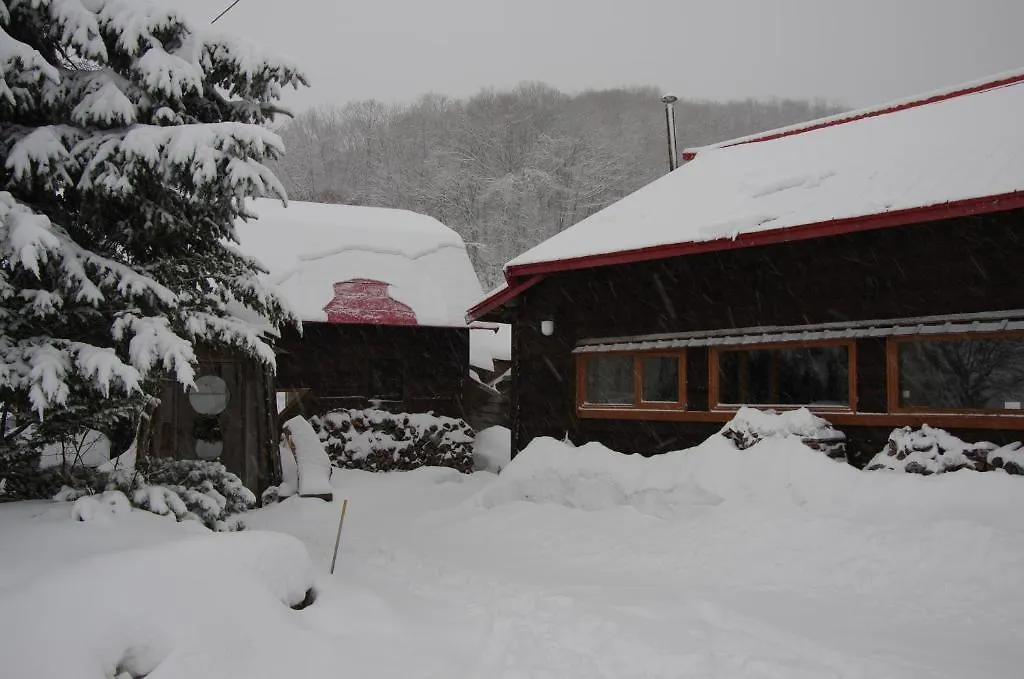 Hotel Goryo Guesthouse Furano